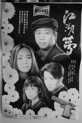 《韶光大盗2024》电视剧高清全集