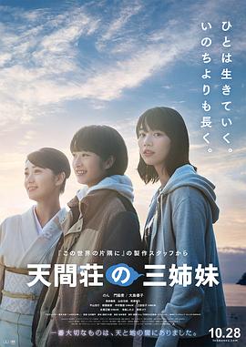 《今冬不言情》电视剧高清全集