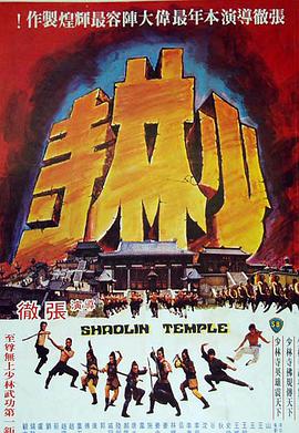 《中华英豪2004》电视剧高清全集