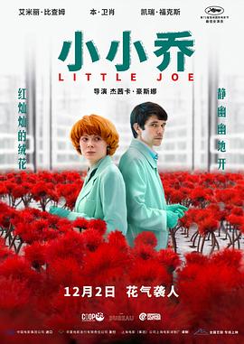 《探案新诀窍 第五季》电视剧高清全集