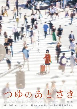 《陈赓晋南大捷》电影高清完整版