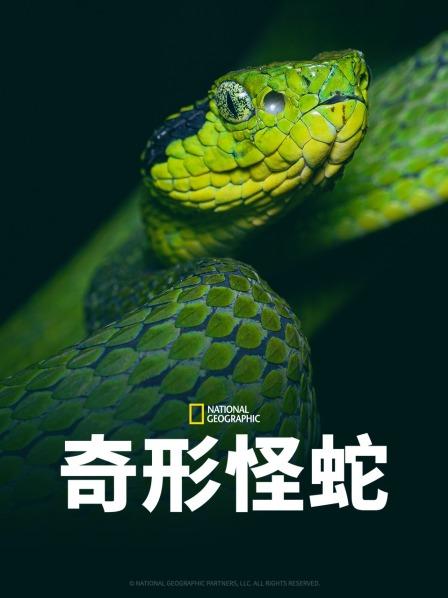 《西施》电影高清完整版