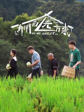 《春日疯狂》电视剧高清全集