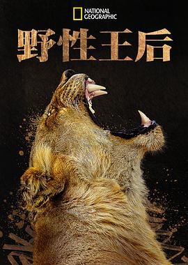 《无主之花》电视剧高清全集