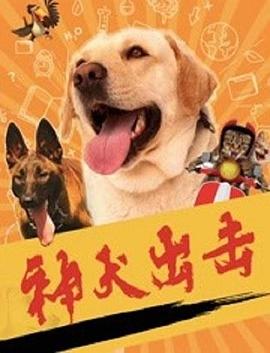 《被逼成为反派赘婿第二季》动漫高清全集
