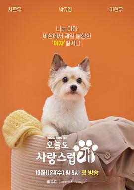 《新啼笑缘由》电影高清完整版