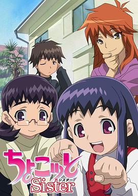 《意外来客【影视说明】》电影高清完整版