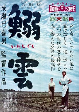 《英国佬》电影高清完整版