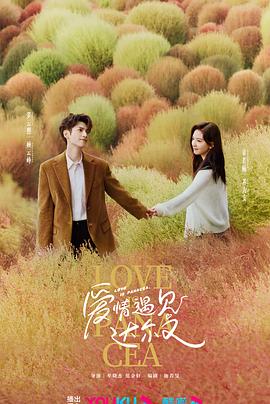 《王山君抢亲粤语》电视剧高清全集