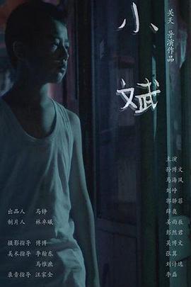 《卧底费瑞的故事》电视剧高清全集