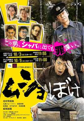 《概括中的本相》电视剧高清全集