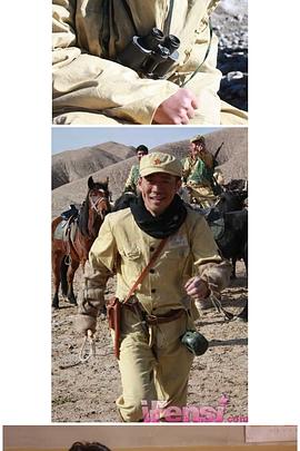 《暴风法庭》电视剧高清全集