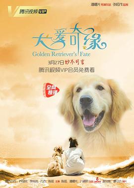 《康家大院的新媳妇》电影高清完整版