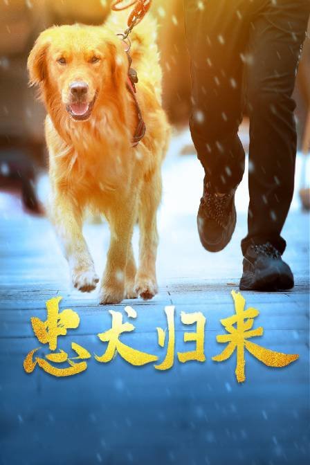 《雪山惊魂2》电影高清完整版