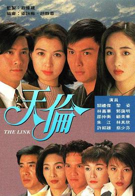 《大汉皇帝2：汉武雄风》电视剧高清全集