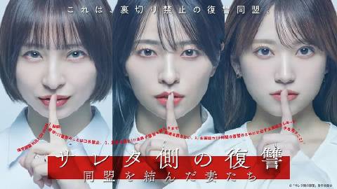 《狐狸小姐不好惹》电视剧高清全集