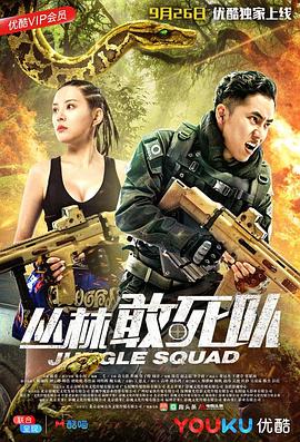 《有泪纵情流》电视剧高清全集