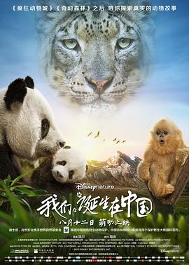 《真假东宫粤语》电视剧高清全集