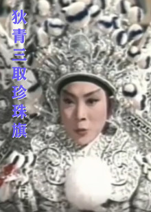 《战役吧灵兽》动漫高清全集