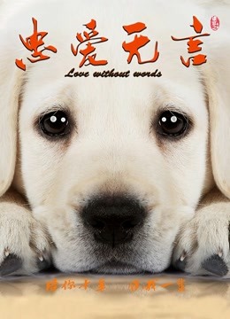 《精灵宝可梦太阳&月亮》动漫高清全集