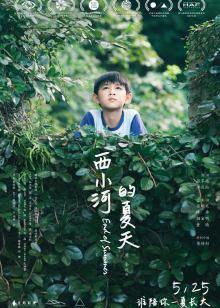 《麦吉的方案》电影高清完整版
