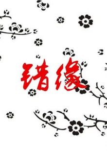 《黄金缉私队》电影高清完整版