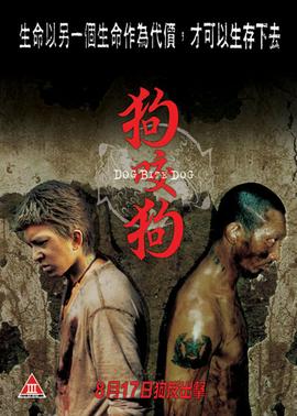 《发现女巫第二季》电视剧高清全集