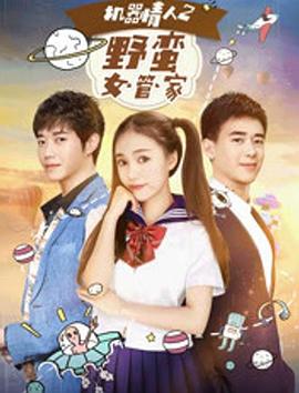 《傻王闯全国》电视剧高清全集