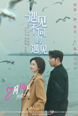 《甜木兰第三季》电视剧高清全集