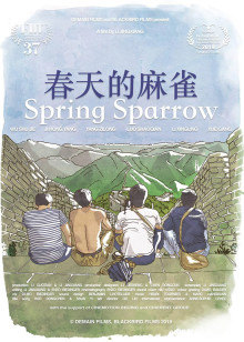 《悲情丽人》电视剧高清全集