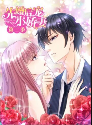 《一夜新娘第二部》电视剧高清全集