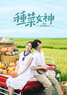 《美人鱼的夏天》动漫高清全集