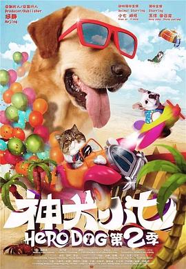 《火影忍者疾风传剧场版：丢失之塔》动漫高清全集