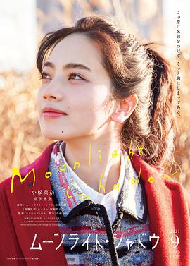 《毒枭第三季》电视剧高清全集
