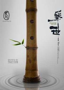 《焚心》电视剧高清全集