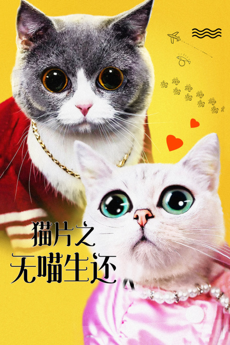 《爱尔兰人(剧情说明）》电影高清完整版