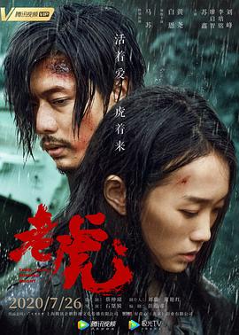《光露营就很忙了》综艺高清完整版