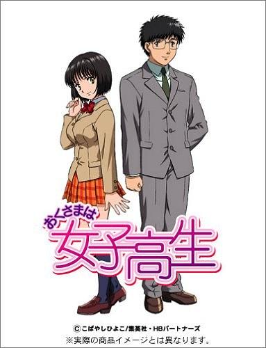 《苍白骑士》电影高清完整版