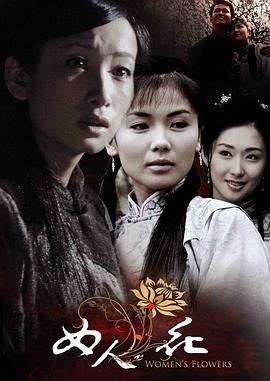《奥秘博士2011圣诞特别篇》电影高清完整版