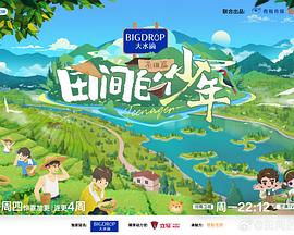 《玉碎》电视剧高清全集