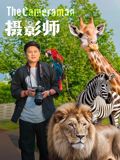 《传说的拳头》电影高清完整版