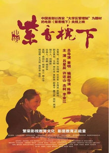 《女皮条客》电影高清完整版