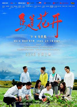 《我国知青部落》电视剧高清全集