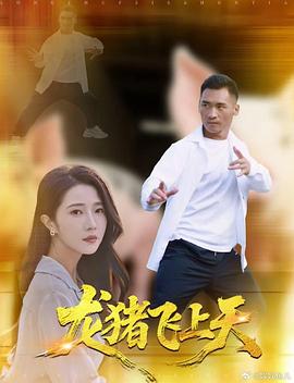 《中年方案》电视剧高清全集