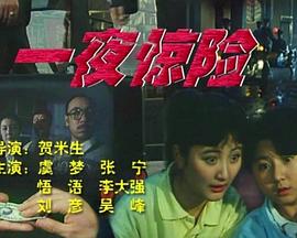 《梁山奇情》电视剧高清全集