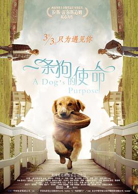 《七磅》电影高清完整版