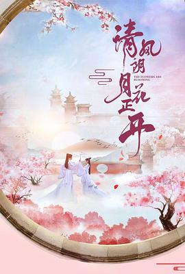 《新美人计》电视剧高清全集