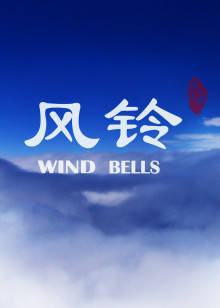 《2022最美的夜bilibili晚会》综艺高清完整版