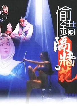 《月拢雁西归》电视剧高清全集
