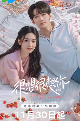 《东京独身男人》电视剧高清全集